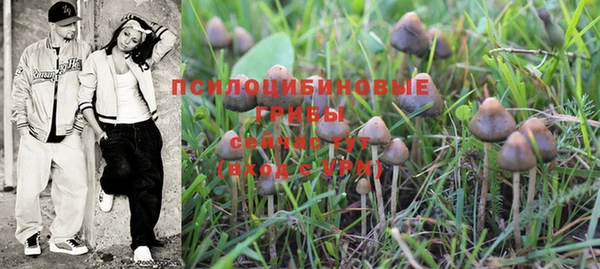 дмт Кукмор