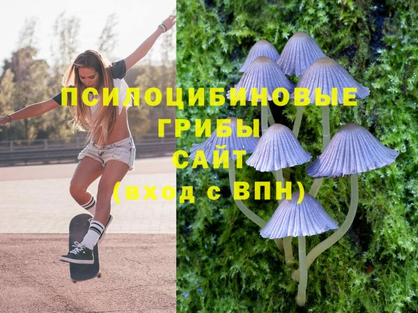 дмт Кукмор