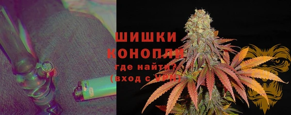шишки Братск