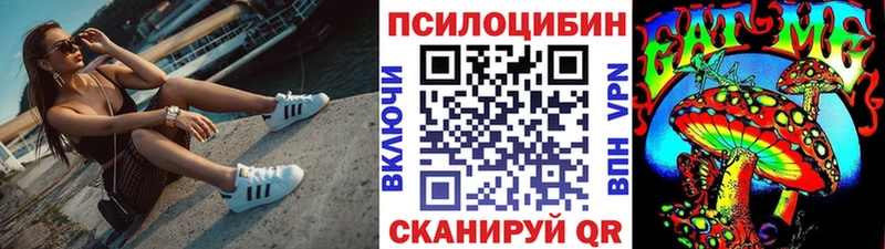 Псилоцибиновые грибы Psilocybine cubensis  omg как зайти  Подольск 