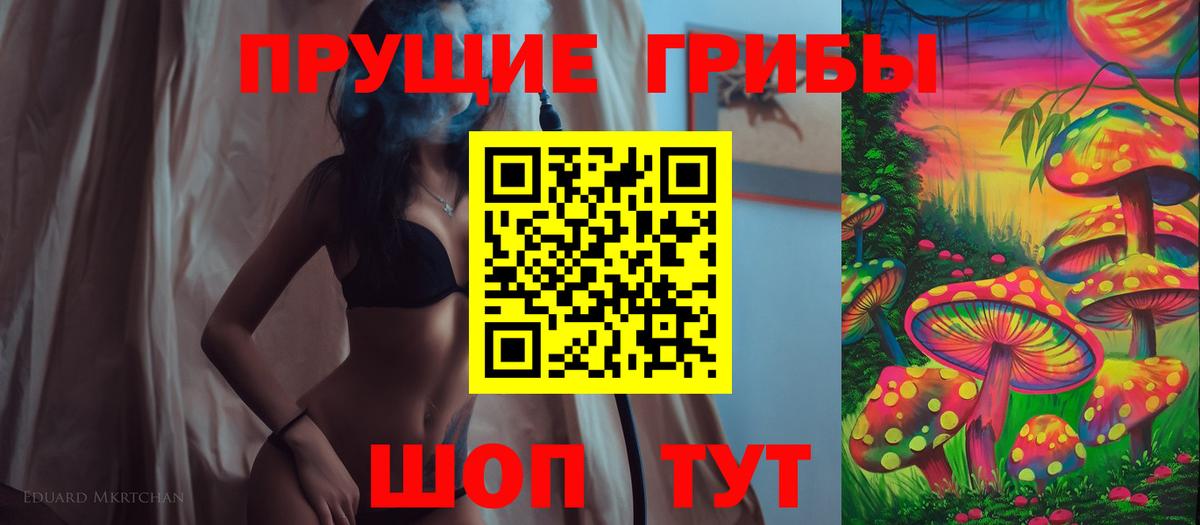 Подольск  Галлюциногенные грибы GOLDEN TEACHER  Вход с VPN 